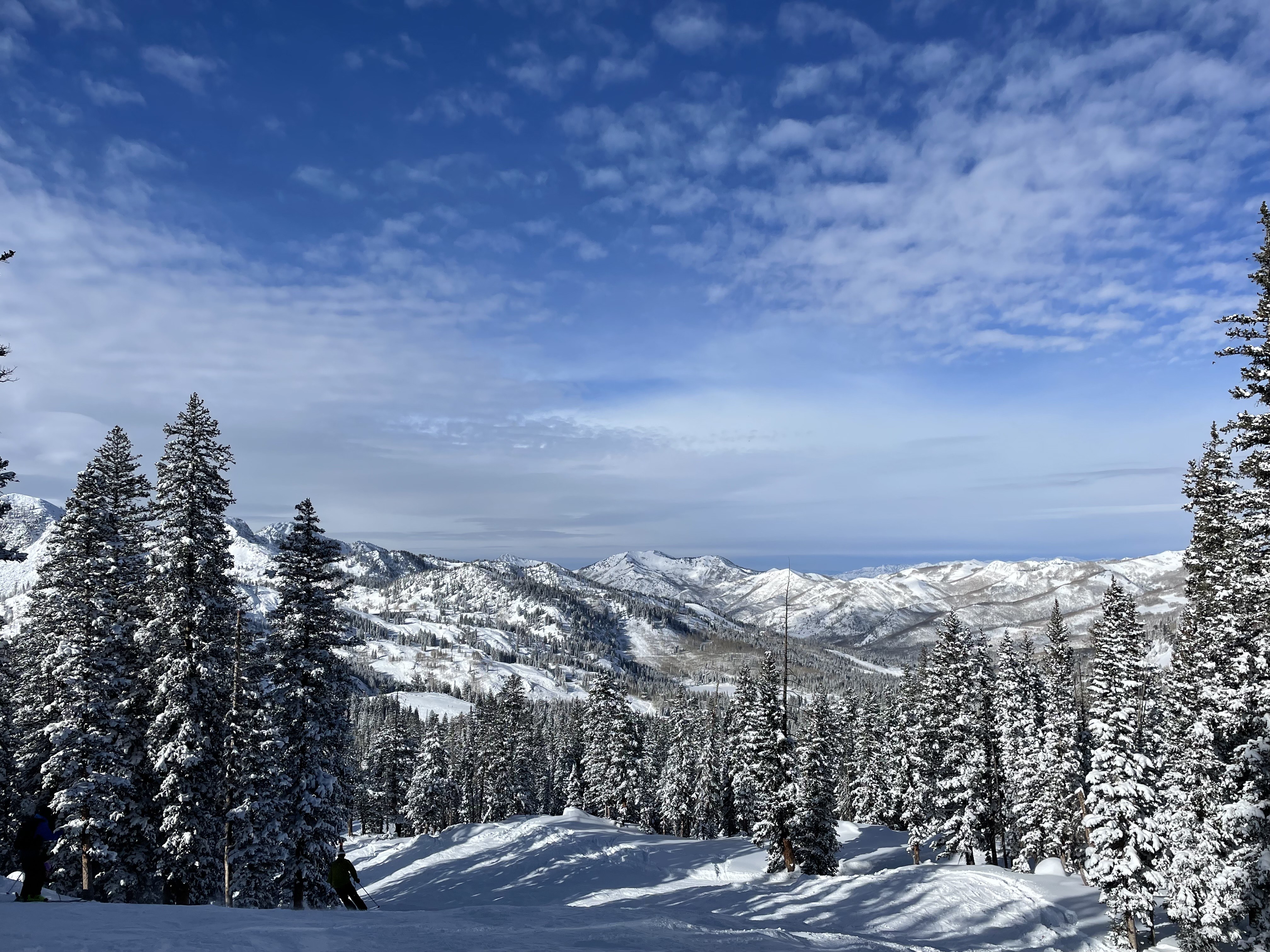 Snowy background